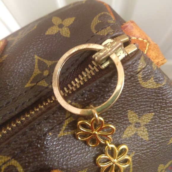 Louis Vuitton Speedy 25 Monogram - Picture 16 of 16